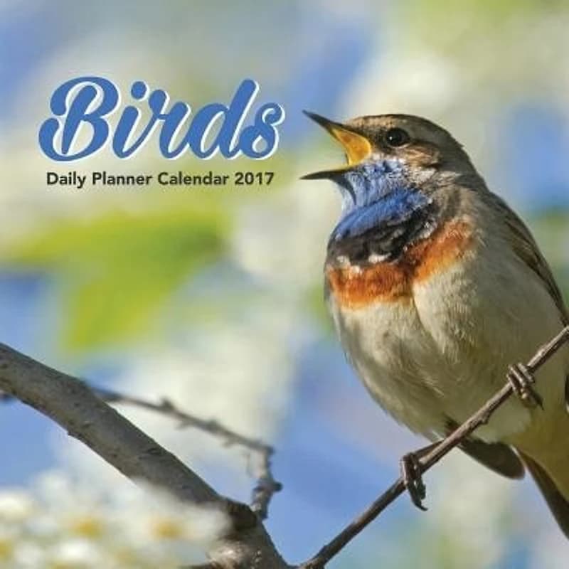 Birds Daily Planner Calendar 2017